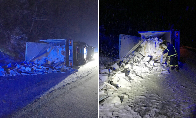 Trailer med laks veltet. Veibanen full av fisk